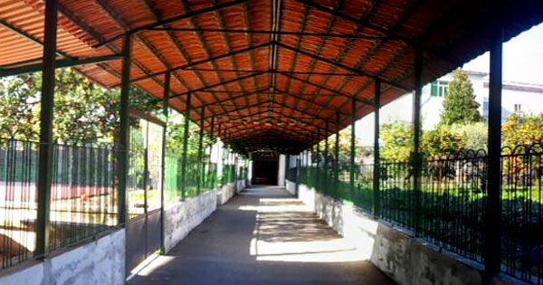 Istituti scolastici ad Arzano - Napoli